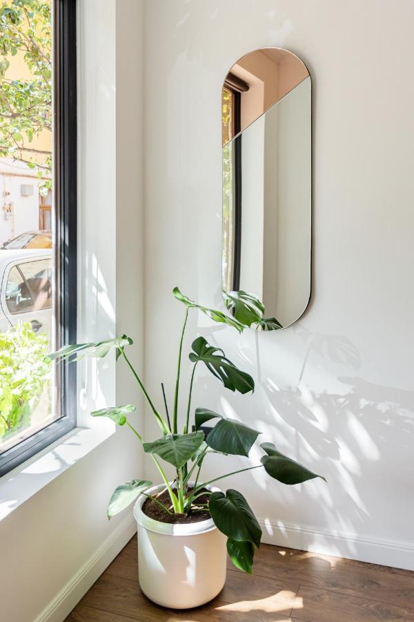 Designer Apartment In The City Center Κλουζ-Ναπόκα Εξωτερικό φωτογραφία
