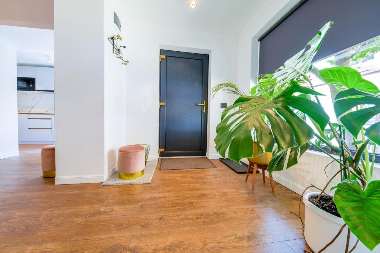 Designer Apartment In The City Center Κλουζ-Ναπόκα Εξωτερικό φωτογραφία